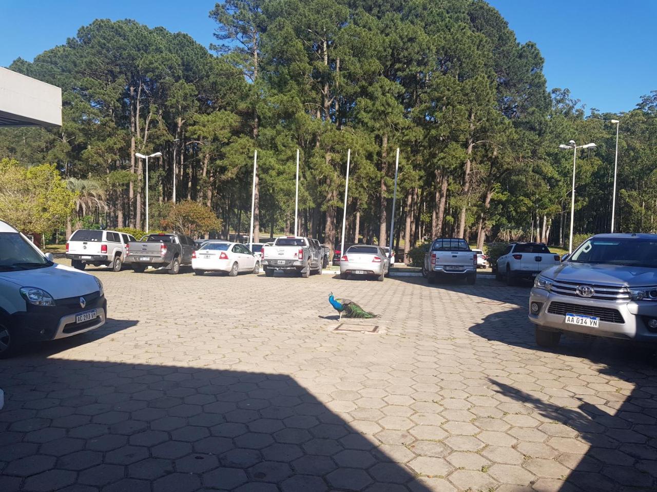 קונקורדיה Hotel Ayui Resort & Spa Termal מראה חיצוני תמונה